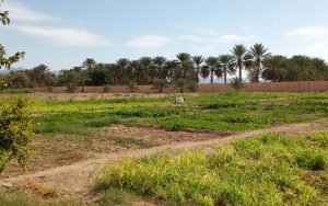 Escape to Nature Resort Oman in Mahdha