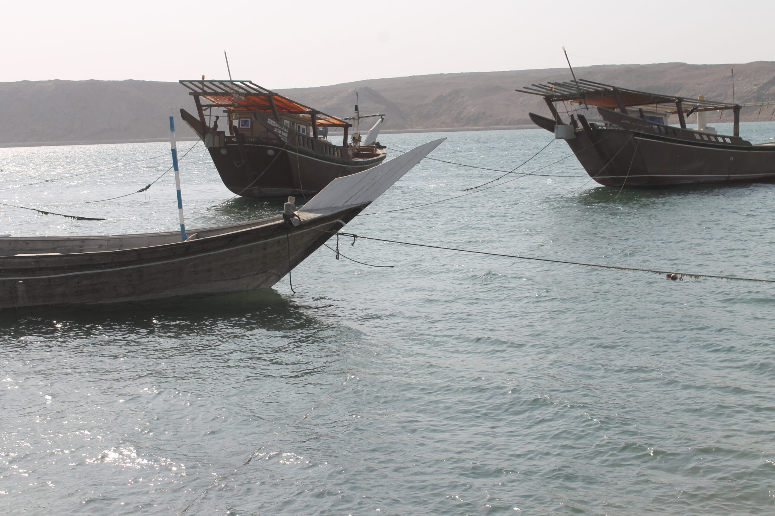 Ship Building in Sur Oman 7 Fascinating Facts About Traditional Dhow Shipyards